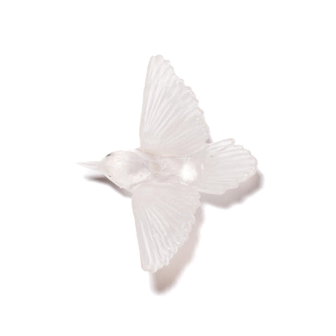 Miromiro / Tomtit | Glass Bird