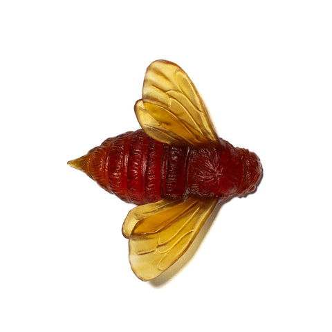Bee Wings In | Glass