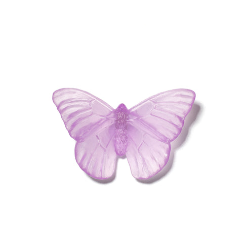 Admiral | Classic Mount Butterfly | Glass