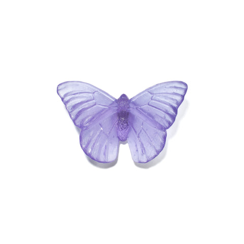 Admiral | Classic Mount Butterfly | Glass