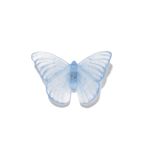 Admiral | Classic Mount Butterfly | Glass