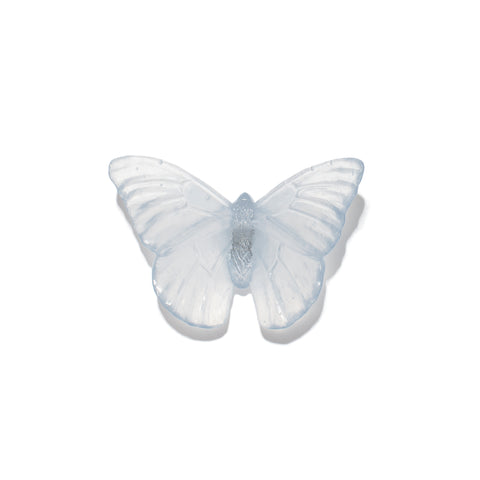Admiral | Classic Mount Butterfly | Glass