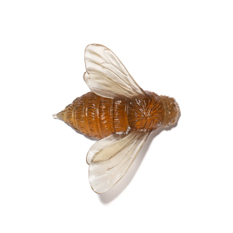 Bee Wings In | Glass