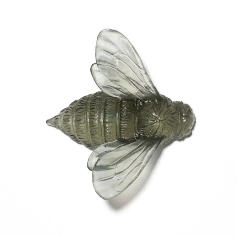 Bee Wings In | Glass