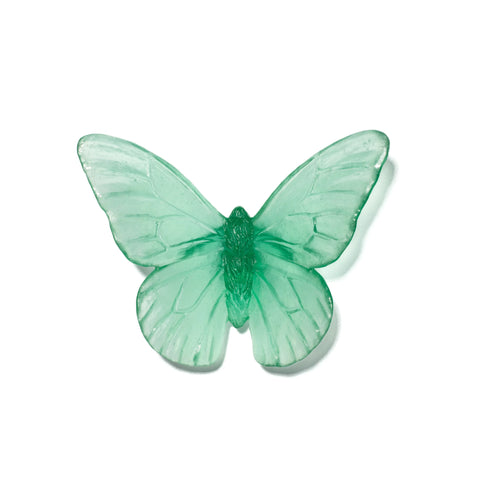 Monarch | Classic Mount Butterfly | Glass