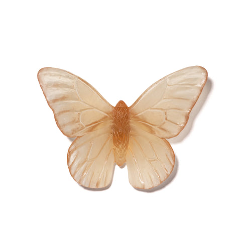 Monarch | Classic Mount Butterfly | Glass