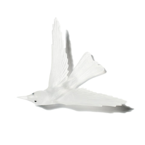 Korimako / Bellbird | Glass Bird