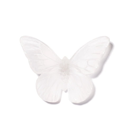 Monarch | Classic Mount Butterfly | Glass
