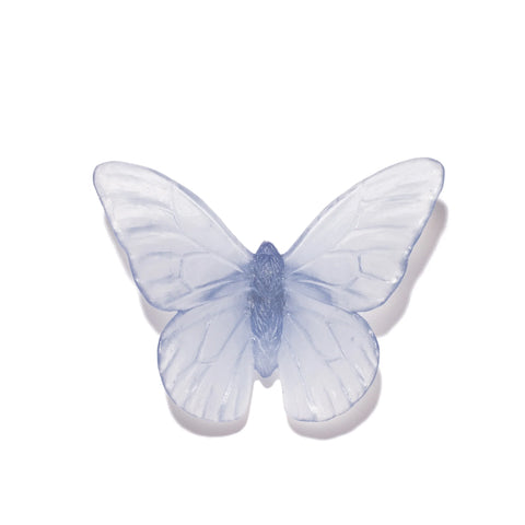 Monarch | Classic Mount Butterfly | Glass
