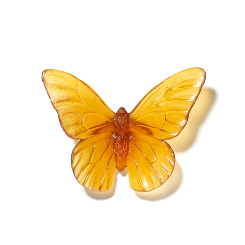 Monarch | Classic Mount Butterfly | Glass