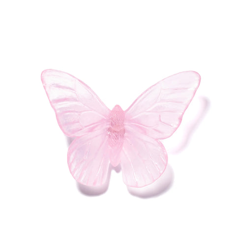 Monarch | Classic Mount Butterfly | Glass