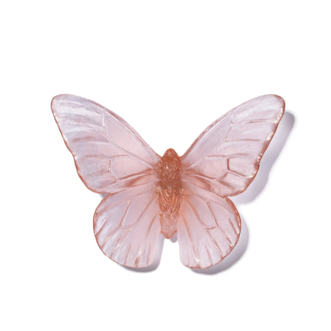 Monarch | Classic Mount Butterfly | Glass