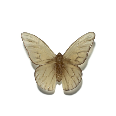 Monarch | Classic Mount Butterfly | Glass