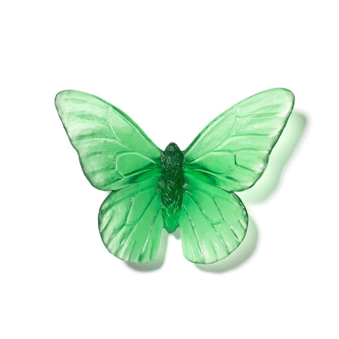 Monarch | Classic Mount Butterfly | Glass