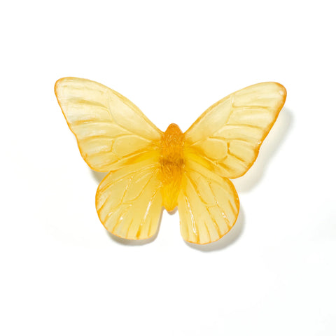 Monarch | Classic Mount Butterfly | Glass