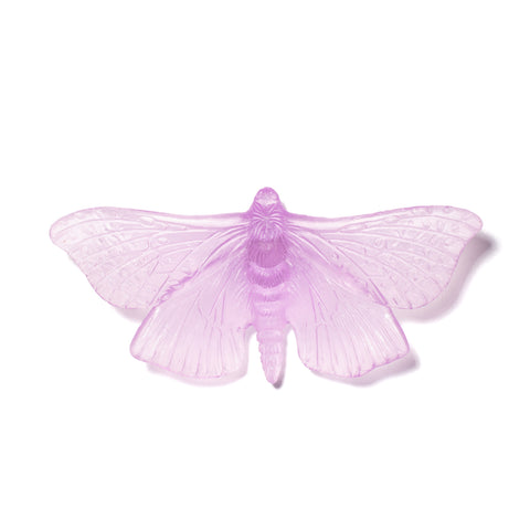 Pūriri Moth | Glass