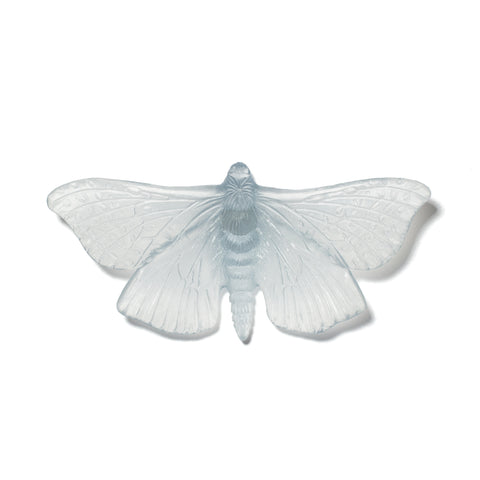 Pūriri Moth | Glass