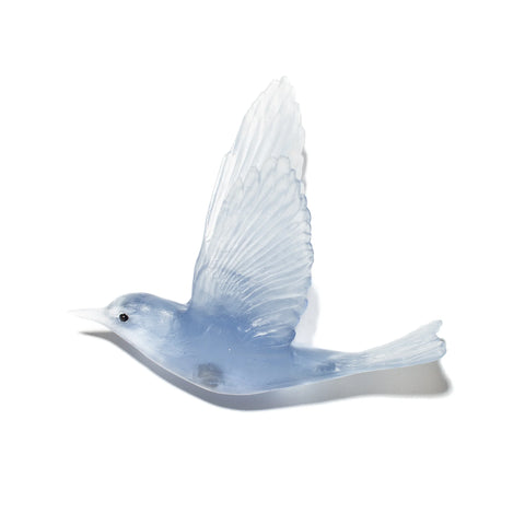 Pipiwharauroa / Shining Cuckoo | Glass Bird