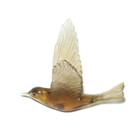 Pipiwharauroa / Shining Cuckoo | Glass Bird