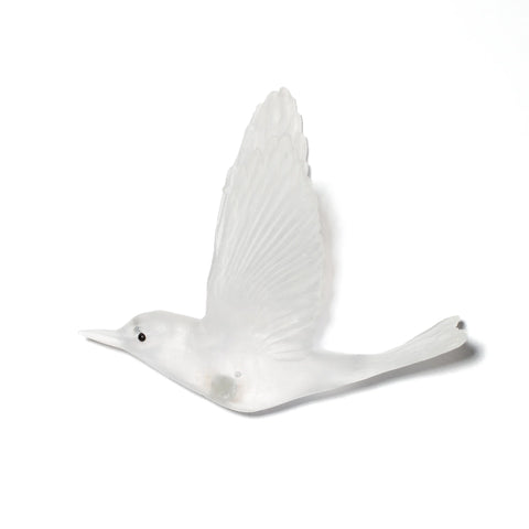 Pōpokotea / Whitehead | Glass Bird