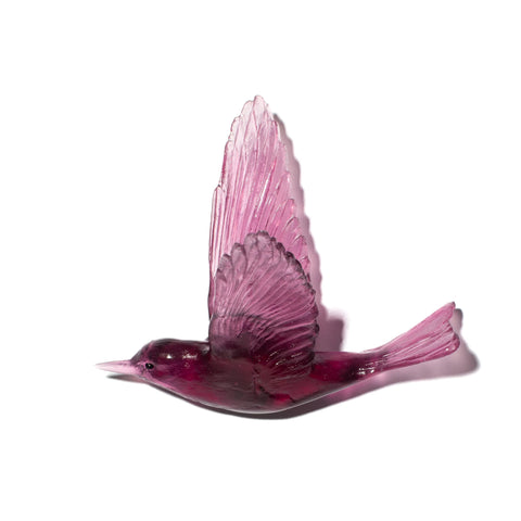 Pipiwharauroa / Shining Cuckoo | Glass Bird