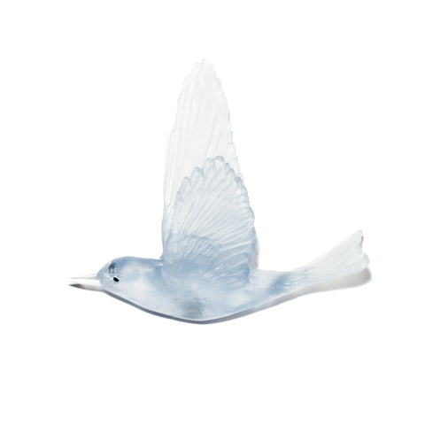 Pipiwharauroa / Shining Cuckoo | Glass Bird