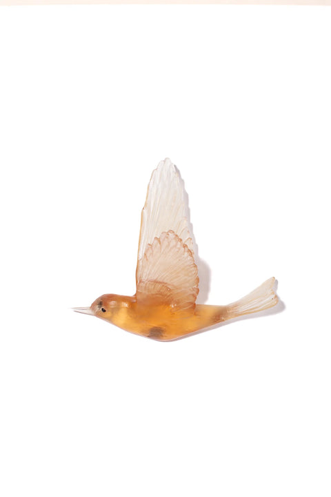 Pipiwharauroa / Shining Cuckoo | Glass Bird