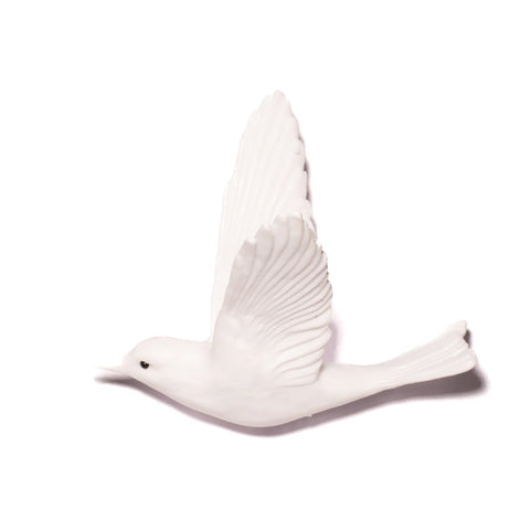 Pipiwharauroa / Shining Cuckoo | Glass Bird