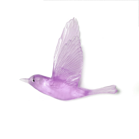 Pipiwharauroa / Shining Cuckoo | Glass Bird