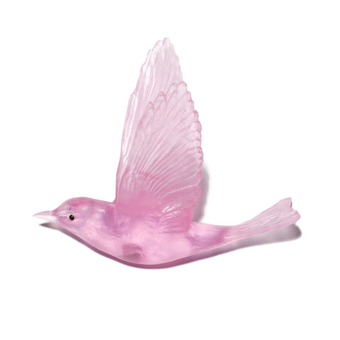 Pipiwharauroa / Shining Cuckoo | Glass Bird