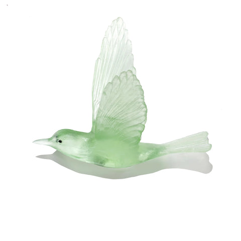Pipiwharauroa / Shining Cuckoo | Glass Bird
