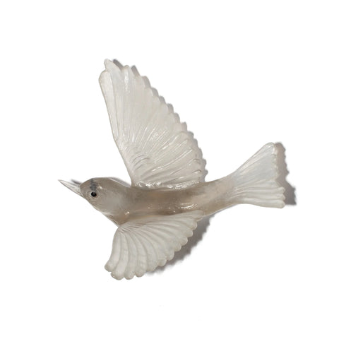 Tauhou / Silvereye | Glass Bird