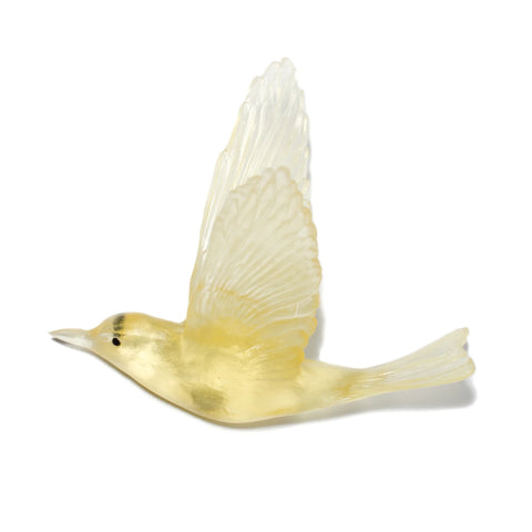 Pipiwharauroa / Shining Cuckoo | Glass Bird