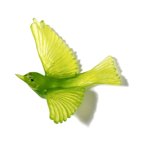 Tauhou / Silvereye | Glass Bird