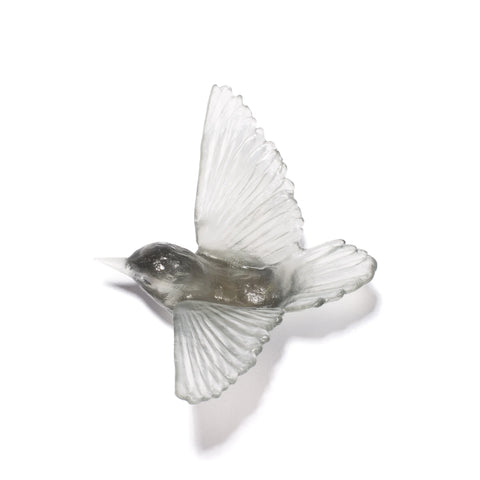 Miromiro / Tomtit | Glass Bird