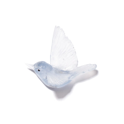 Miromiro / Tomtit | Glass Bird