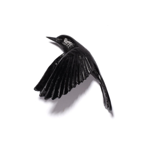 Pōpokotea / Whitehead | Glass Bird