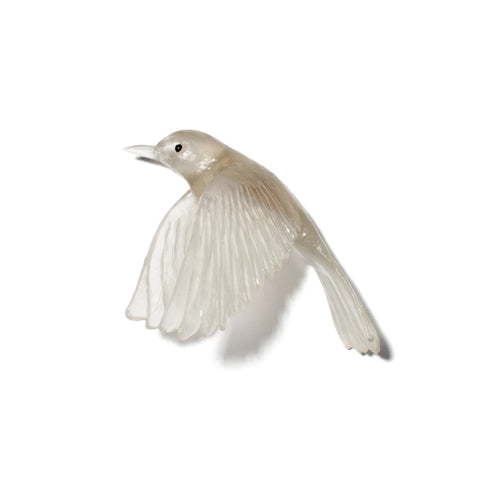 Pōpokotea / Whitehead | Glass Bird