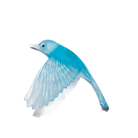 Pōpokotea / Whitehead | Glass Bird