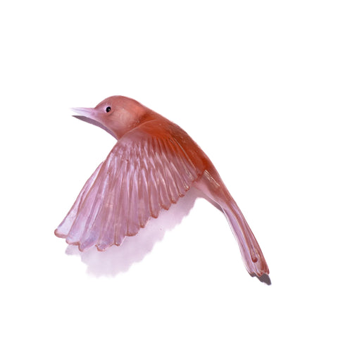 Pōpokotea / Whitehead | Glass Bird