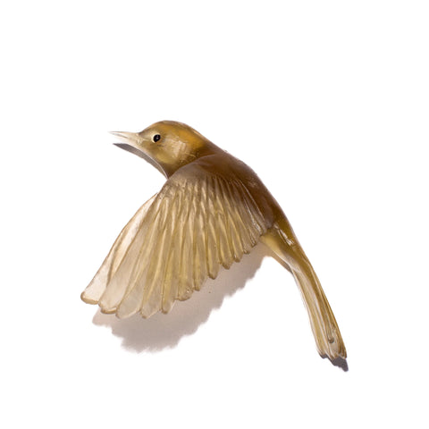 Pōpokotea / Whitehead | Glass Bird