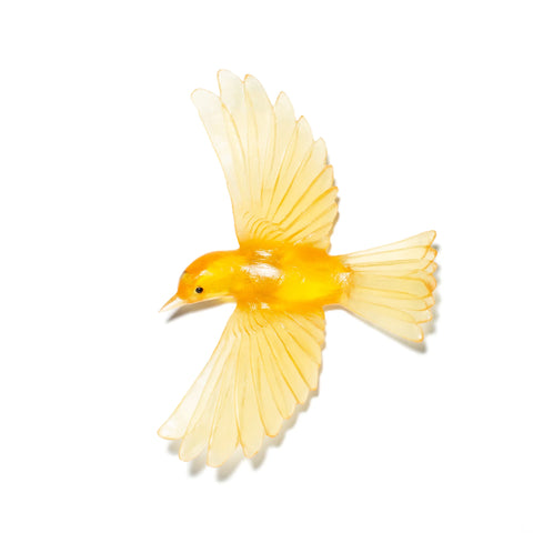 Mōhua / Yellowhead | Glass Bird