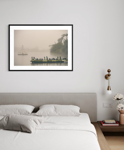 Lake Rotoiti on a Misty Morning | Limited Edition