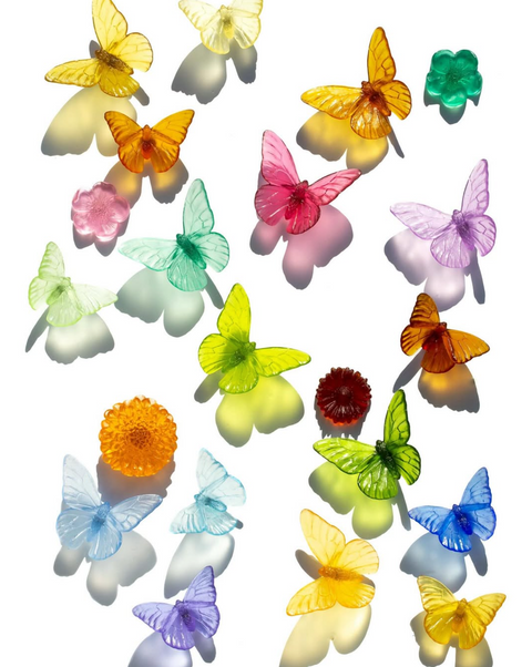 Monarch | Classic Mount Butterfly | Glass