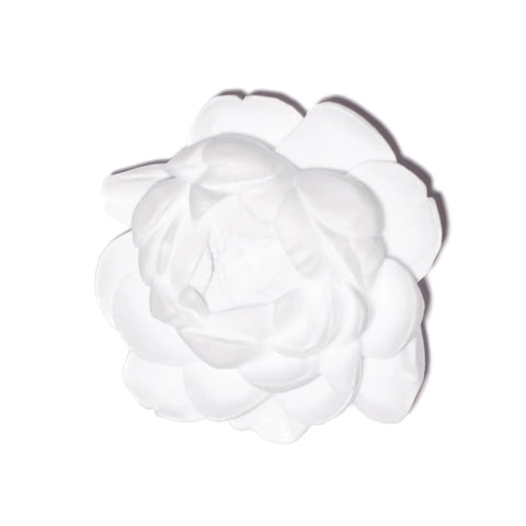 Peony Flower | Glass