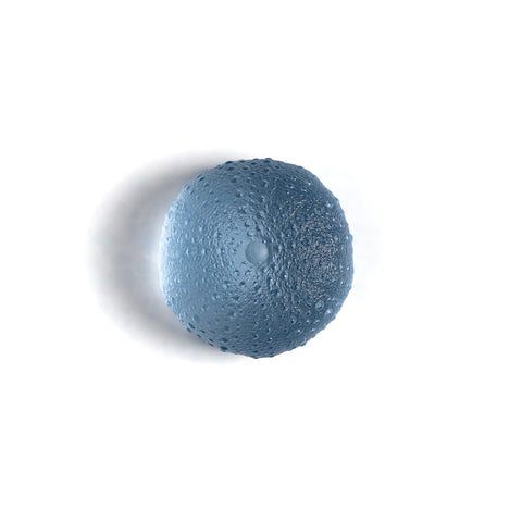 Sea Urchin - Kina | Pale Steel Blue | Hand Cast Glass