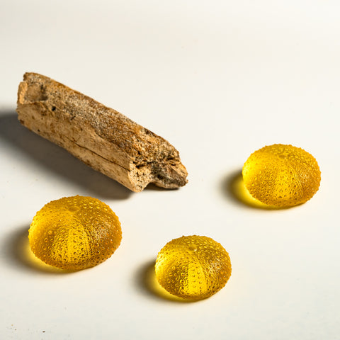 Sea Urchin - Kina | Yellow | Hand Cast Glass