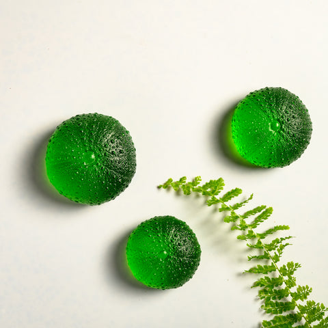 Sea Urchin - Kina | Vivid Green | Hand Cast Glass