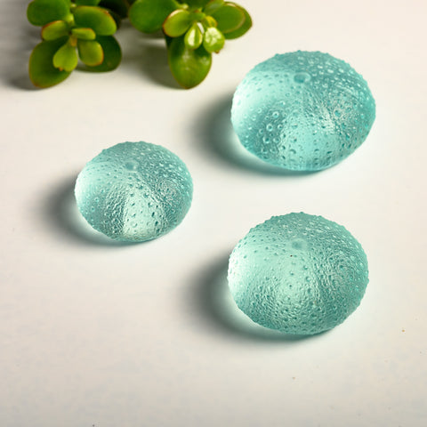 Sea Urchin - Kina | Lagoon | Hand Cast Glass