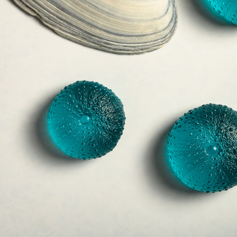Sea Urchin - Kina | Sea Blue | Hand Cast Glass